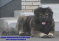 /album/kepgaleria-kelet-rettegett-kanja-back/img-0091-jpg/