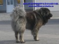 /album/kepgaleria-kelet-rettegett-kanja-back/img-0070-jpg/